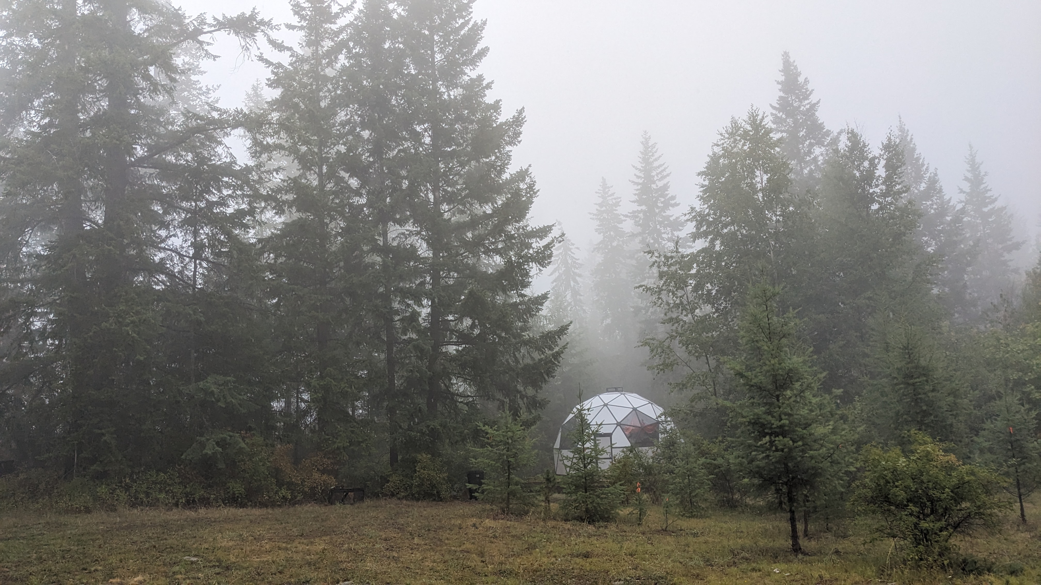 Mystical view of the dome shrouded in morning fog
